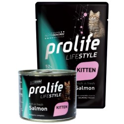 Life Style Kitten Salmon