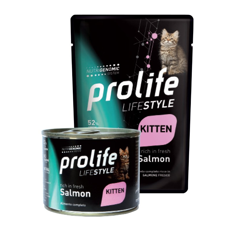 Life Style Kitten Salmon