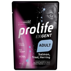 Exigent Adult Salmon, Trout, Herring