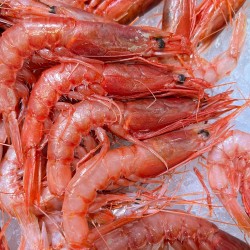 Gambero rosso di Mazara del...