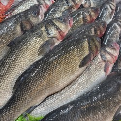 Branzino